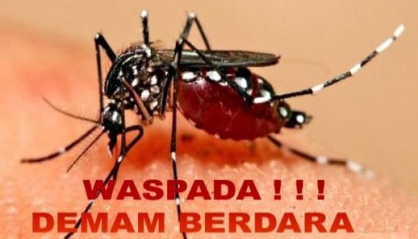 3 Minuman Cocok Bantu Pengidap DBD Cepat Sembuh, Salah Satunya Air Kelapa