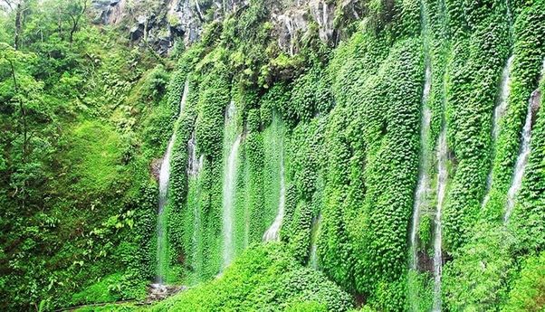 Daftar Wisata Air Terjun di Malang yang Instagramable