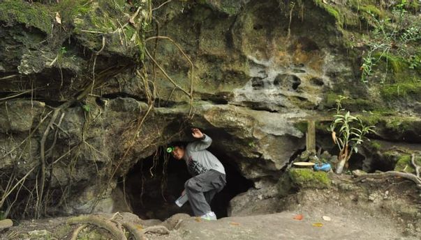 Ahli Geologi dan Camat Tanggapi Video Viral Goa Penuh Emas di Sumatera Utara