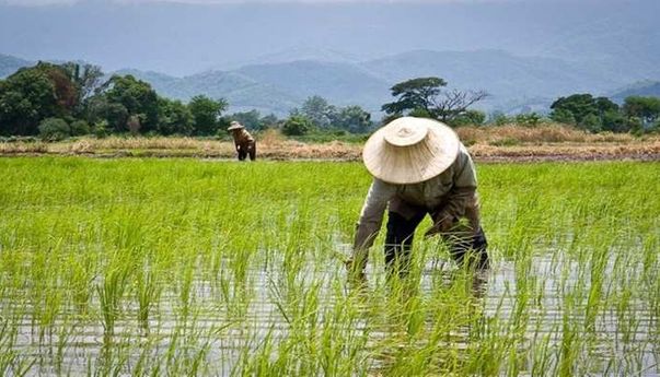 120 Warga Bandung Barat Dilatih Jadi Petani oleh Kemnaker