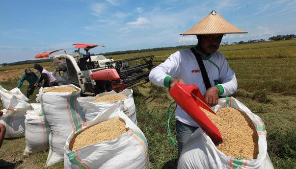 Kabar Baik di Tengah-tengah Krisis Pangan Mengancam di Seluruh Dunia, Indonesia Bakal Aman Tentram?