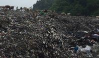 Mengejutkan! Gunung Sampah di TPST Piyungan Belum Tuntas, Siapa yang Bertanggung Jawab?