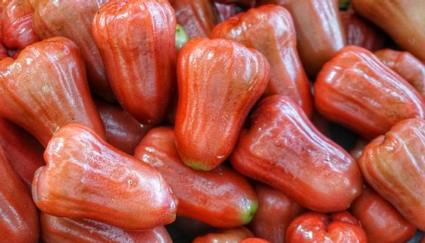 Inilah Berbagai Manfaat Jambu Air untuk Kesehatan dan Kecantikan yang Masih Sangat Jarang Diketahui