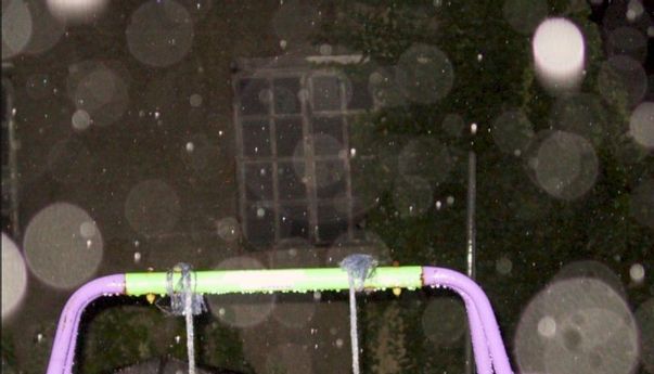 Ternyata 'Orbs' Bukanlah Penampakan Roh Halus dalam Hasil Fotografi, Lalu Apa?