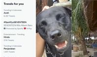 Dugaan Penyiksaan Anjing di Aceh Jadi Sorotan Netizen, Tagar #Aceh Nomor 1 di Twitter