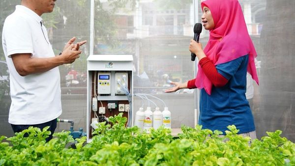 Omzet Ratusan Juta, Kelompok Wanita Tani Binaan PLN Olah Sampah Jadi Smart Farming