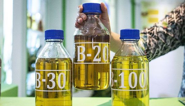 Alokasi Biodiesel Tahun 2023 Naik 19 Persen Jadi 13,15 Juta KL