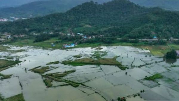 400 Hektare di Konawe Sultra Terendam Banjir akibat Luapan Sungai Aworeka