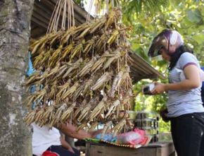 Terbaru: Jurus Pemkab Gunung Kidul Pulihkan Ekonomi di Tengah Pandemi