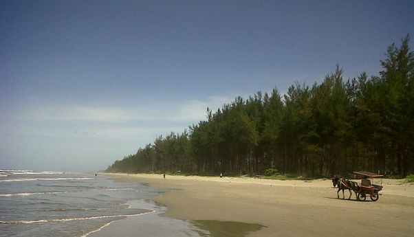 Rekomendasi 4 Pantai Mukomuko Bengkulu yang Harus Masuk Daftar Liburanmu