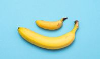 Ukuran Penis Pria Semakin Kecil di Masa Depan, Begini Penjelasan Ilmuwan