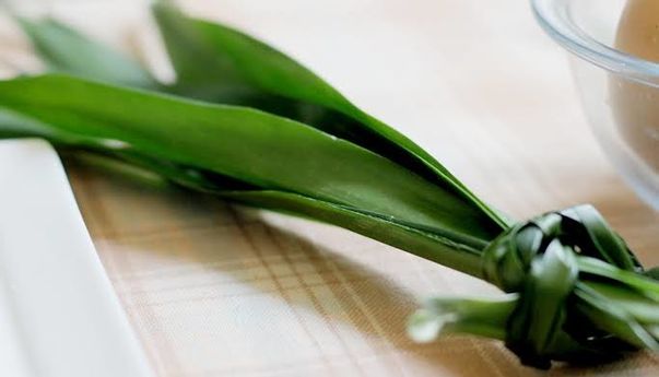 Ketahuilah 4 Manfaat dan Efek Samping Daun Suji Untuk Kesehatan