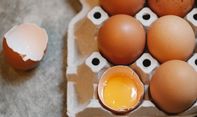 Cara Buat Pupuk dari Cangkang Telur untuk Tanaman Agar Tumbuh Subur