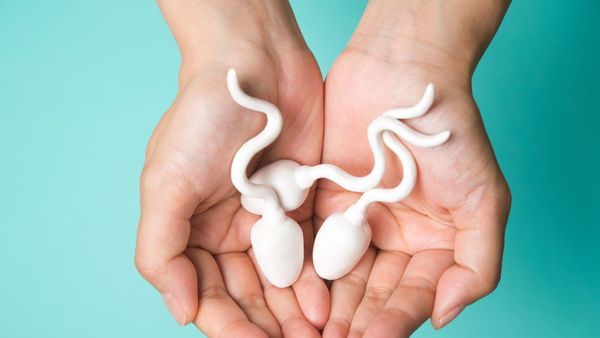 Ini Jenis Makanan Penambah Sperma yang Bisa Dikonsumsi Suami Agar Istri Cepat Hamil