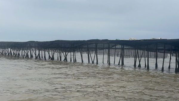 Penjelasan Agung Sedayu Soal Kepimilikan SHGB di Kawasan Pagar Laut Tangerang: Sesuai Prosedur