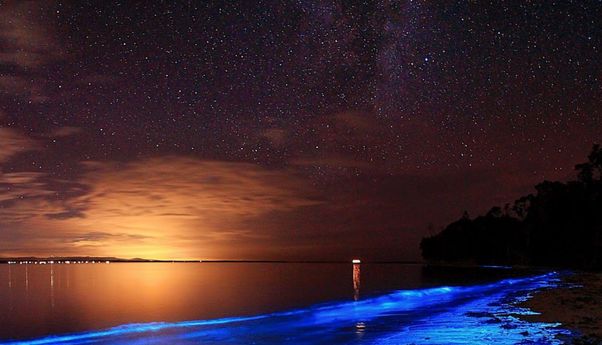 Keindahan Wisata Pantai yang Bersinar di Maladewa