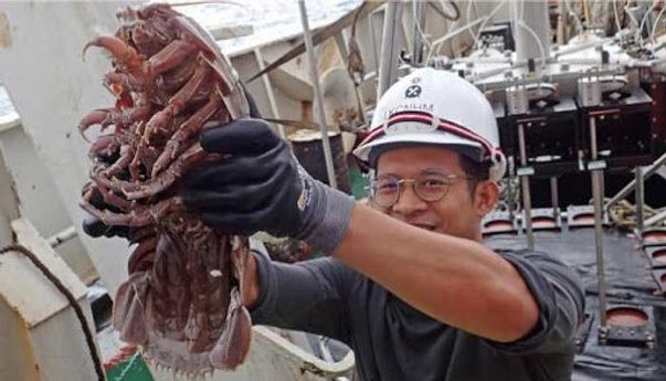 LIPI Berhasil Temukan Kecoa Laut Raksasa di Laut Dalam Indonesia