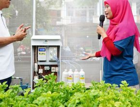 Omzet Ratusan Juta, Kelompok Wanita Tani Binaan PLN Olah Sampah Jadi Smart Farming