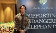 Jefri Nichol dan Kusuka Galang Dana untuk Konservasi Gajah Sumatra Lewat Lelang Eksklusif