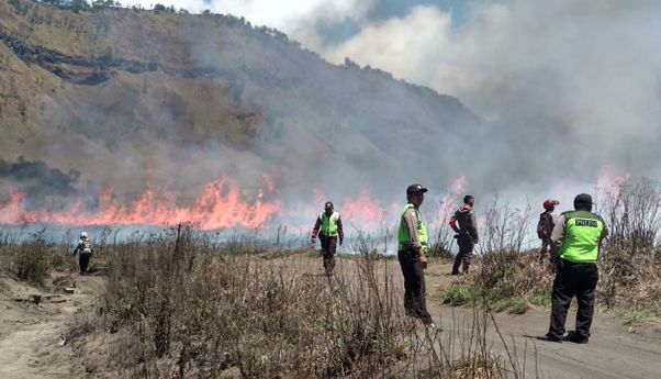 Kebakaran Taman Nasional Bromo, Lahan Seluas 14 Hektare Hangus
