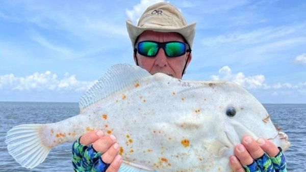 Pemancing di AS Kaget Dapat Ikan Aneh, Kulitnya Mirip Tortilla