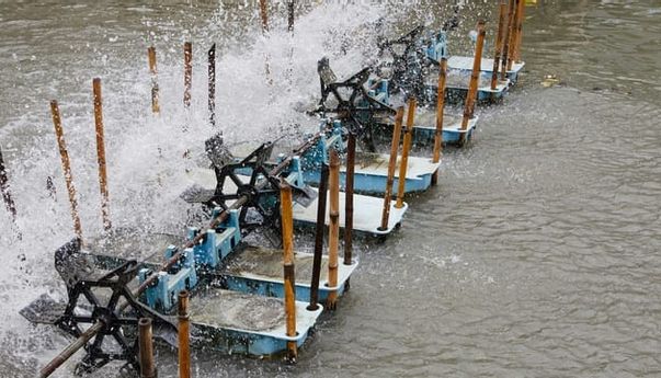 Fungsi Air dalam Mekanisme PLTA: Tumpuan Tulang Punggung Listrik Bersih?