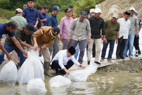 PLTA Danau Kerinci Jadi Lokasi Restocking Ikan: Ini Kata Gubernur Al Haris?