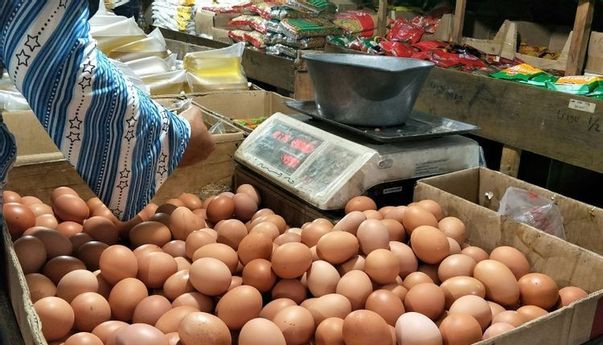 Mengejutkan! Harga Telur Ayam Melambung Tinggi dalam Sepekan