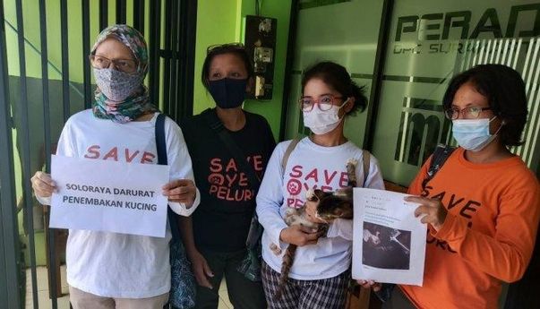 Mengerikan! Di Tengah Panasnya Pilkada Solo, Pecinta Kucing Geger karena Ada Pembunuh Kucing Misterius