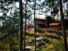 Fakta Menarik Rumah Hutan Dodit Mulyanto