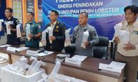 Penyelundupan Benih Lobster Tujuan Malaysia Berhasil Digagalkan, Nilainya Rp19 Miliar