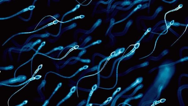 Peneliti Sebut Covid-19 Dapat Turunkan Jumlah Sperma