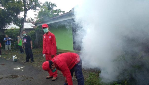 Berita Jateng: Waspada! Kasus DBD di Purbalingga Bulan Juni 2020 Sudah 163 Kasus