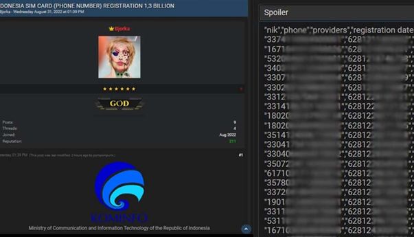 Bikin Was-was! Hacker Ungkap Alasan Kebocoran Data Pengguna Indonesia Disebabkan Kominfo