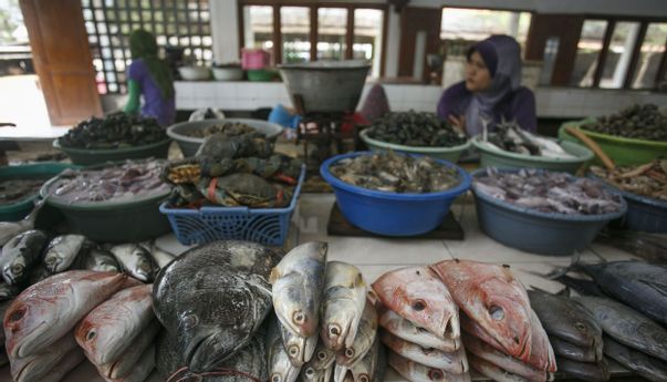 Dampak Corona: Penjualan Ikan Air Tawar di Jogja Lesu
