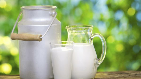 Jangan Konsumsi Susu Jika Memiliki 3 Kondisi Kesehatan ini