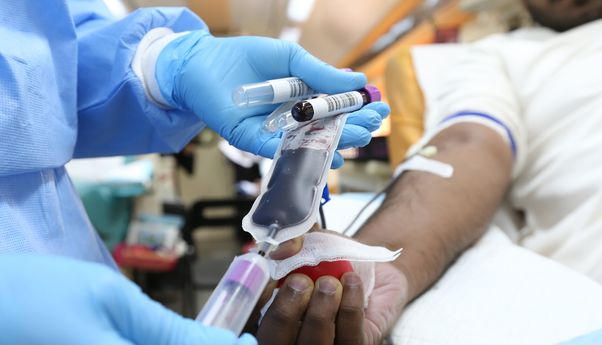 S3 di Indonesia Paling Banyak Bergolongan Darah O, Paling Langka Darah B-