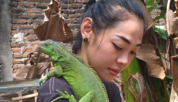 Berawal dari Hobi, Perempuan Madiun Ini Meraup Keuntungan dari Ternak Iguana