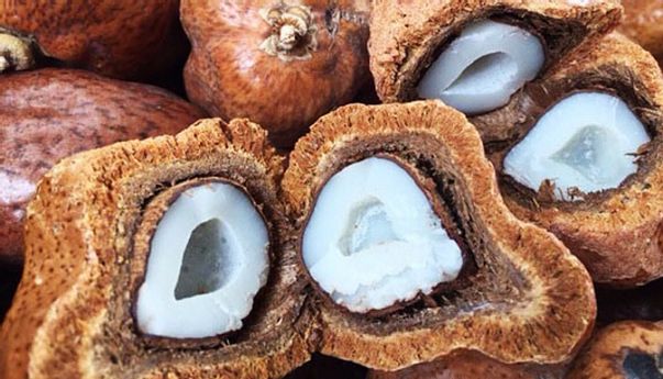 Lagi Program Hamil? Cek Deretan Manfaat Buah Zuriat untuk Promil