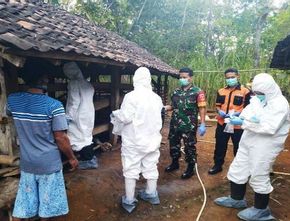 Nihil Kasus, Pemkab Bantul Tak Lakukan Vaksinasi Antraks