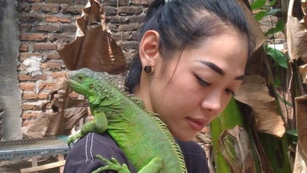 Berawal dari Hobi, Perempuan Madiun Ini Meraup Keuntungan dari Ternak Iguana