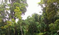 Deretan Tempat Wisata di OKU Timur dengan Pemandangan Luar Biasa