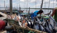 Diincar China, Berikut Ini Kekayaan Alam Natuna Sesungguhnya