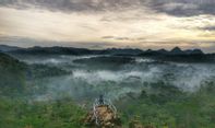 Ingin Wisata di Hutan Pinus Kalilo Purworejo? Ini Lokasi, Harga Tiket dan Rute Lengkap