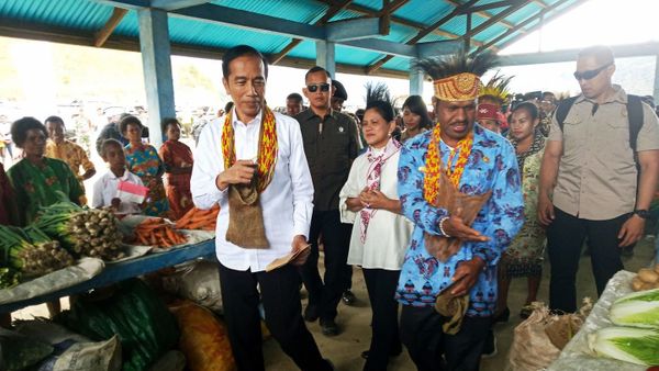 Pemekaran Papua Disetujui DPD RI, Waketum: Idealnya Papua Dibagi 7