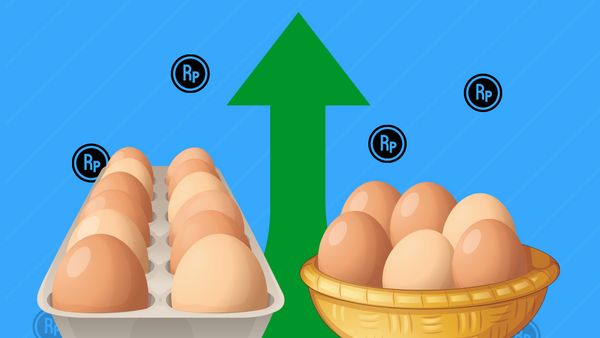 Beda Pandangan Media dan Warganet Sikapi Kenaikan Harga Telur Ayam