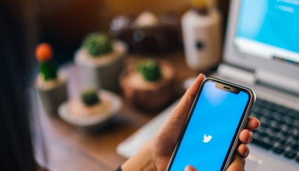 Twitter Uji Coba Tampilan Baru Timeline Ala Instagram, Bakal Lebih Jelek?