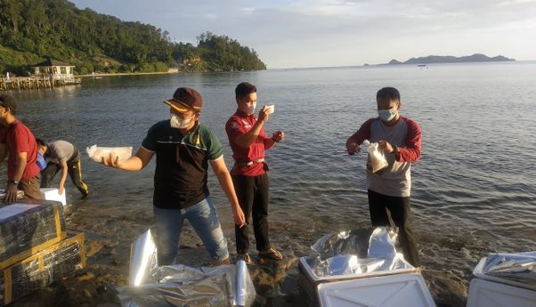 Mengintai Upaya Penyeludupan Benih Lobster di Sungai Pukul 05.00 WIB