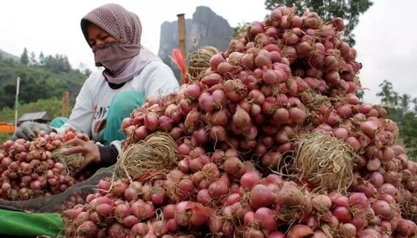 Masa Pandemi, Ekspor Bawang Merah Tetap Tancap Gas