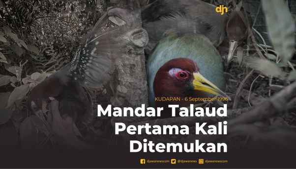 Mandar Talaud Pertama Kali Ditemukan